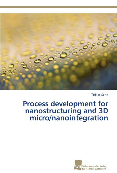 Produktbild: Process development for nanostructuring and 3D micro/nanointegration