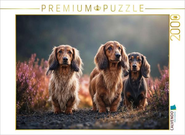 Produktbild: CALVENDO Puzzle Kurze Beine. Braune Augen. Zum Verlieben | 2000 Teile Lege-Gr&ouml;&szlig;e 90x67cm Foto-Puzzle f&uuml;r gl&uuml;ckliche Stunden