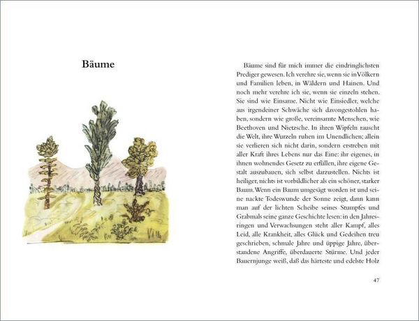 Produktbild: Wanderung