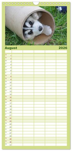 Produktbild: Familienplaner 2026 - Husky Welpen mit 5 Spalten (Wandkalender, 21 x 45 cm) CALVENDO