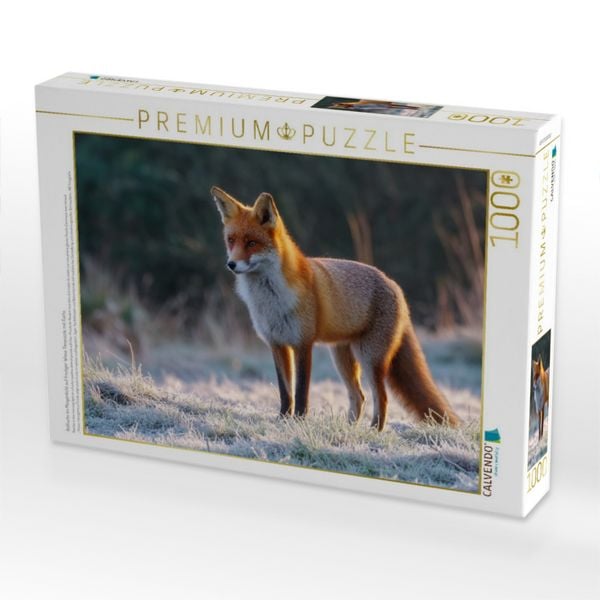 Produktbild: CALVENDO Puzzle Rotfuchs im Morgenlicht auf frostiger Wiese Tierpuzzle mit Fuchs | 1000 Teile Lege-Gr&ouml;&szlig;e 64x48cm Foto-Puzzle f&uuml;r gl&uuml;ckliche Stunden