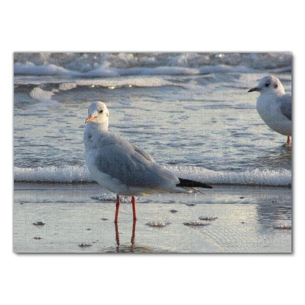 Produktbild: Lais Puzzle M&ouml;we 500 Teile