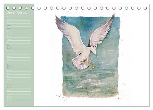 Produktbild: M&ouml;wen - Aquarelle von Julia Pasinski (Tischkalender 2027 DIN A5 quer), CALVENDO Monatskalender