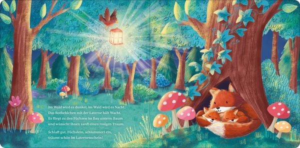 Produktbild: Ich schenk dir ein Licht! Schlaf, Kindlein, schlaf