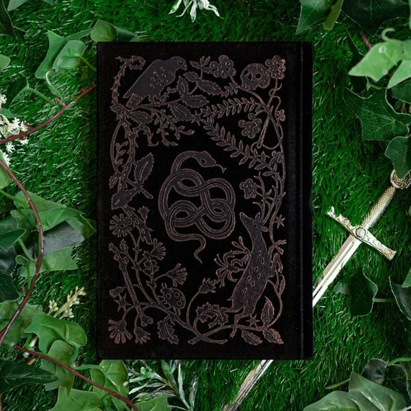 Produktbild: The Queen of Nothing: Collector's Edition