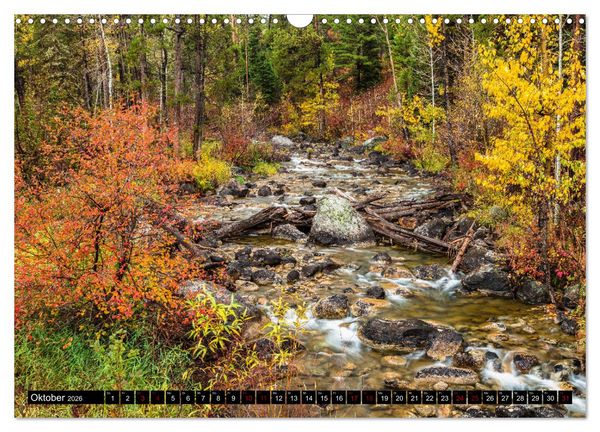 Produktbild: Waldwasser (Wandkalender 2026 DIN A3 quer), CALVENDO Monatskalender