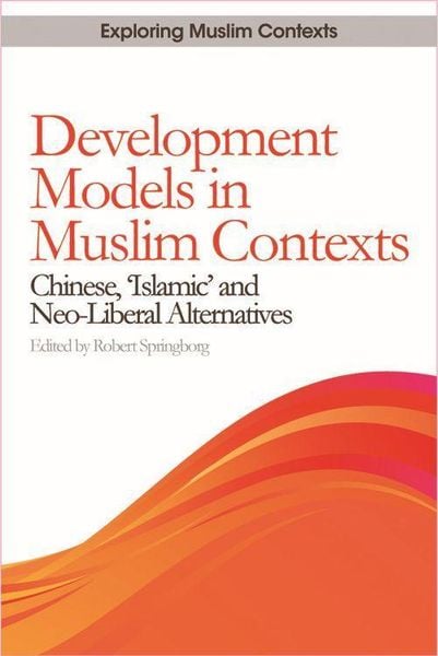 Produktbild: Development Models in Muslim Contexts