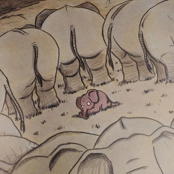 Produktbild: Eddy, der Elefant, der lieber klein bleiben wollte