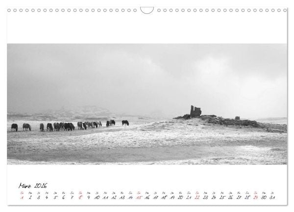 Produktbild: Islandpferde von Brimilsvellir (Wandkalender 2026 DIN A3 quer), CALVENDO Monatskalender