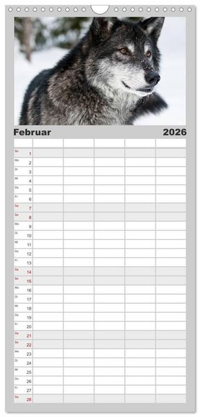 Produktbild: Familienplaner 2026 - W&ouml;lfe. Graue Eminenzen mit 5 Spalten (Wandkalender, 21 x 45 cm) CALVENDO