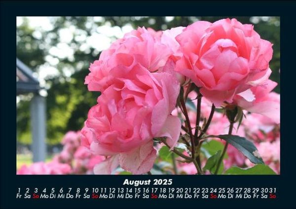 Produktbild: Blumenkalender 2025 Fotokalender DIN A5