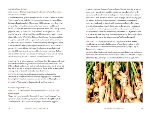 Produktbild: Healing Spices Handbook