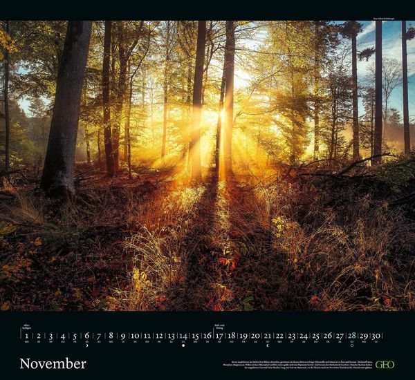 Produktbild: GEO Kalender: Sehnsucht Wald 2027