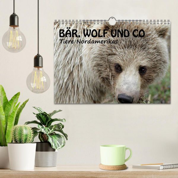 Produktbild: B&auml;r, Wolf und Co - Tiere Nordamerikas (Wandkalender 2026 DIN A4 quer), CALVENDO Monatskalender