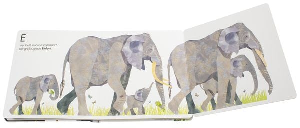 Produktbild: Tiere z&auml;hlen 1 2 3