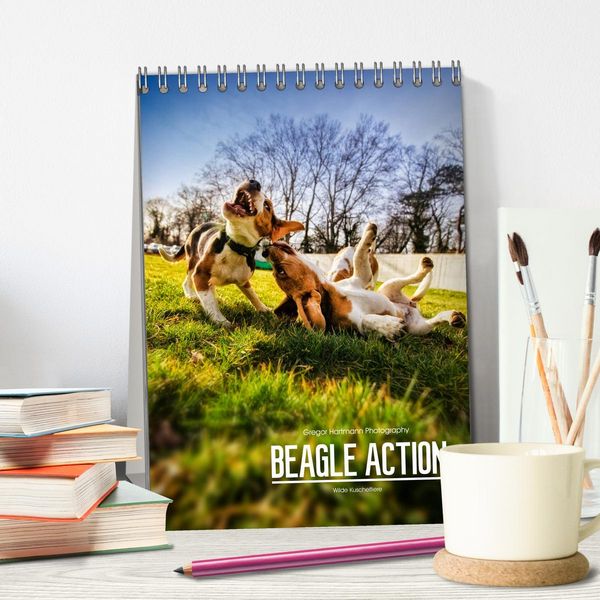 Produktbild: Beagle Action - Wilde Kuscheltiere (Tischkalender 2026 DIN A5 hoch), CALVENDO Monatskalender