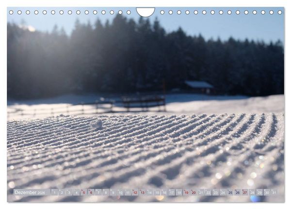 Produktbild: Mein Tirol und Alpenvorland (Wandkalender 2026 DIN A4 quer), CALVENDO Monatskalender