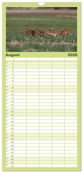 Produktbild: Familienplaner 2026 - Feldhasen in H&ouml;chstform mit 5 Spalten (Wandkalender, 21 x 45 cm) CALVENDO