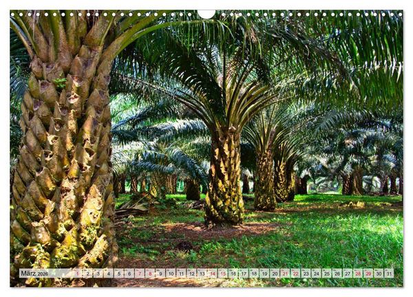 Produktbild: S&atilde;o Tom&eacute; - Inselparadies am &Auml;quator (Wandkalender 2026 DIN A3 quer), CALVENDO Monatskalender