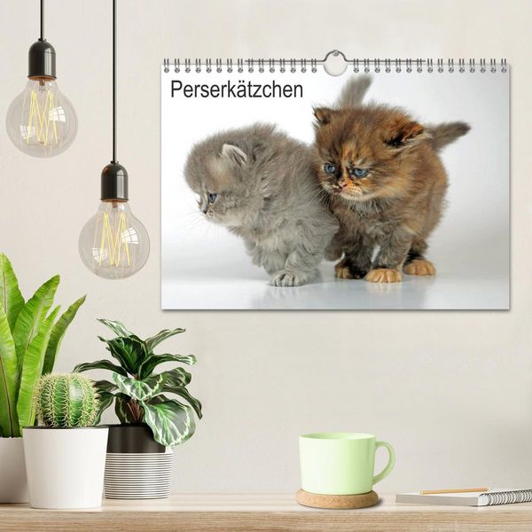 Produktbild: Perserk&auml;tzchen (Wandkalender 2026 DIN A4 quer), CALVENDO Monatskalender