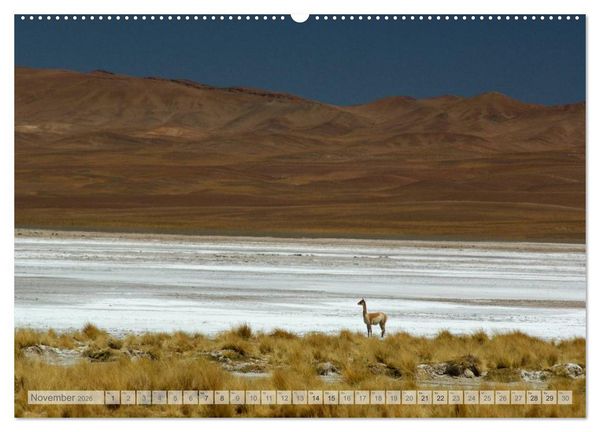 Produktbild: Argentinien Christian Heeb (Wandkalender 2026 DIN A2 quer), CALVENDO Monatskalender