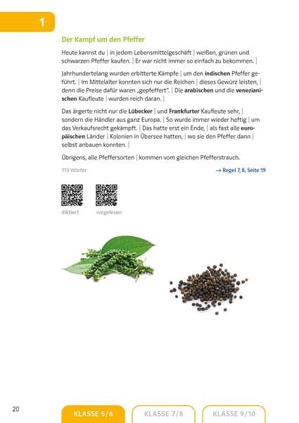 Produktbild: Klett Sicher in Deutsch Diktate 5.-10. Klasse