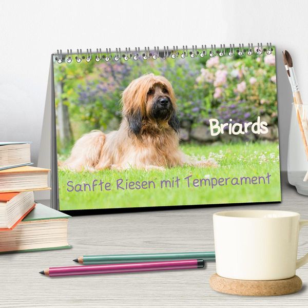 Produktbild: Briards - sanfte Riesen mit Temperament (Tischkalender 2026 DIN A5 quer), CALVENDO Monatskalender