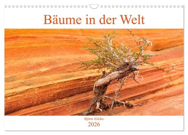 Produktbild: B&auml;ume in der Welt (Wandkalender 2026 DIN A3 quer), CALVENDO Monatskalender