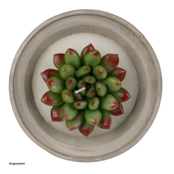 Produktbild: HTI-Living Kerze 1 St&uuml;ck Sukkulente HTI-Living Kerze 1 St&uuml;ck Sukkulente HTI-Living
