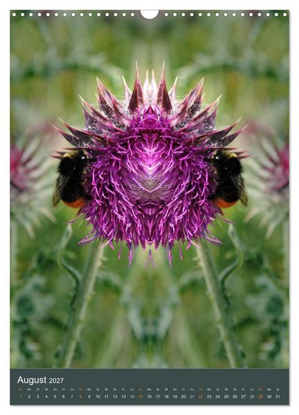 Produktbild: Spiegelwelten - Botschaften der Naturwesen (Wandkalender 2027 DIN A3 hoch), CALVENDO Monatskalender