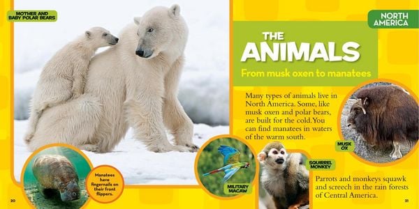 Produktbild: National Geographic Little Kids First Big Book of the World