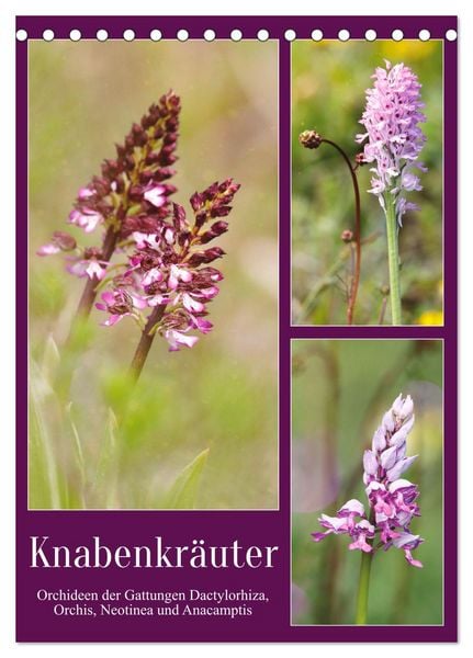 Produktbild: Knabenkr&auml;uter (Tischkalender 2026 DIN A5 hoch), CALVENDO Monatskalender