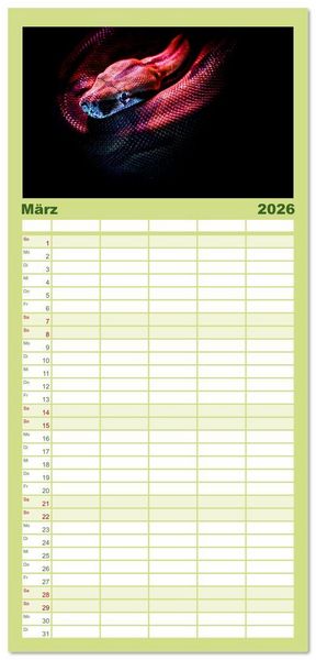 Produktbild: Familienplaner 2026 - Faszination Schlangen mit 5 Spalten (Wandkalender, 21 x 45 cm) CALVENDO
