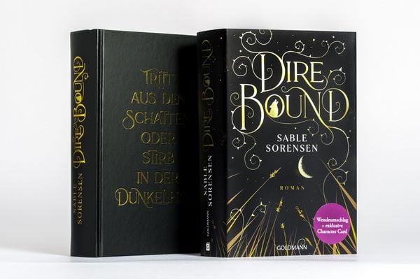 Produktbild: Dire Bound