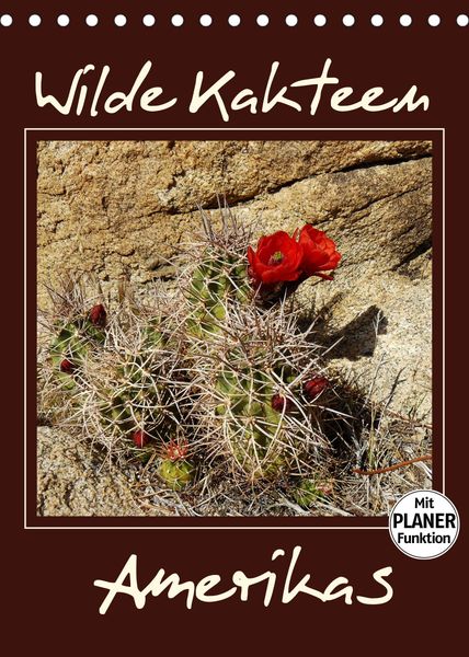Produktbild: Wilde Kakteen Amerikas (Tischkalender 2022 DIN A5 hoch)