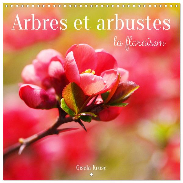 Produktbild: Arbres et arbustes la floraison (Calendrier mural carr&eacute; 2026 30x30 cm) Calendrier double avec une page pour vos prises de notes