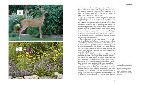 Produktbild: 50 Beautiful Deer-Resistant Plants
