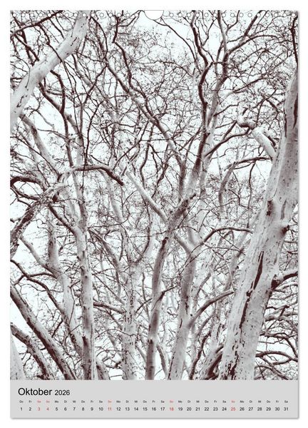 Produktbild: Natur monochrom Die besondere Wirkung (Wandkalender 2026 DIN A3 hoch), CALVENDO Monatskalender