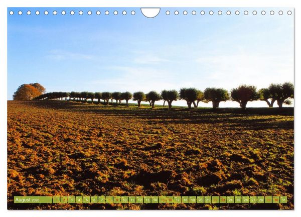 Produktbild: Landwirtschaft Natur pur Mecklenburg-Vorpommern (Wandkalender 2026 DIN A4 quer), CALVENDO Monatskalender