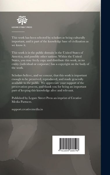 Produktbild: Preliminary Report On The Building Stones, Clays, Limes, Cements, Roofing, Flagging Ancd Paving Stones, Of Minnesota