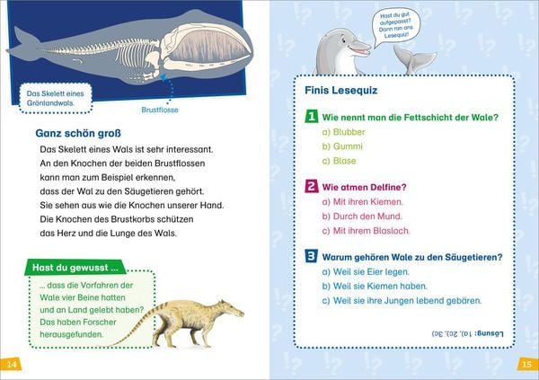 Produktbild: WAS IST WAS Erstes Lesen Band 1. Wale und Delfine