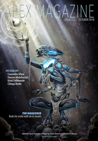 Produktbild: Apex Magazine Issue 113