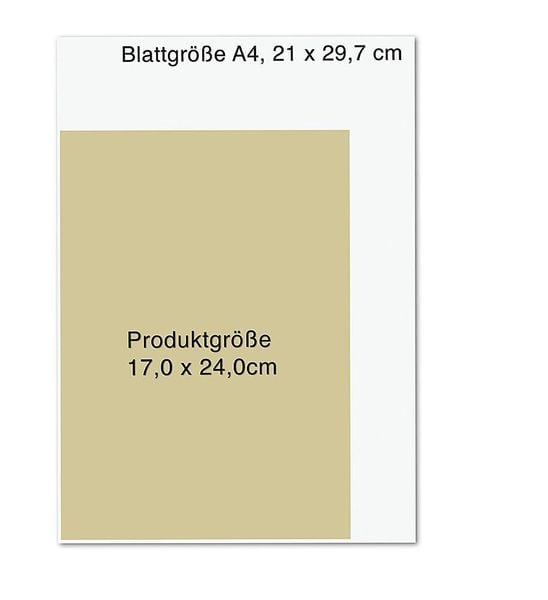 Produktbild: Die Wildpflanzen-Apotheke