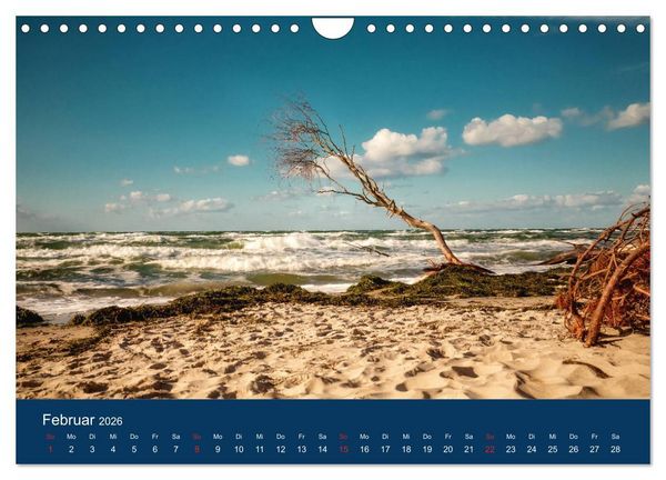 Produktbild: Ostseezauber (Wandkalender 2026 DIN A4 quer), CALVENDO Monatskalender