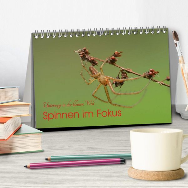 Produktbild: Spinnen im Fokus (Tischkalender 2026 DIN A5 quer), CALVENDO Monatskalender