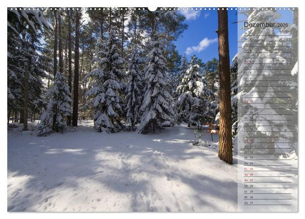 Produktbild: Unser Wald - Magische Sichten in norddeutsche W&auml;lder / Geburtstagskalender (hochwertiger Premium Wandkalender 2026 DIN A2 quer), Kunstdruck in Hochglanz