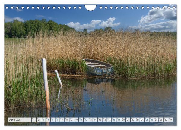 Produktbild: R&uuml;genliebe 2026 (Wandkalender 2026 DIN A4 quer), CALVENDO Monatskalender
