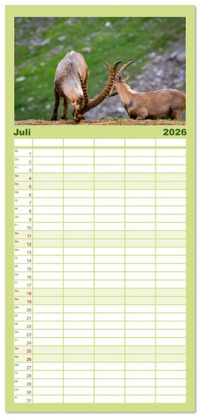 Produktbild: Familienplaner 2026 - Bergk&ouml;nige - Steinb&ouml;cke im Blickpunkt der Naturfotografie mit 5 Spalten (Wandkalender, 21 x 45 cm) CALVENDO