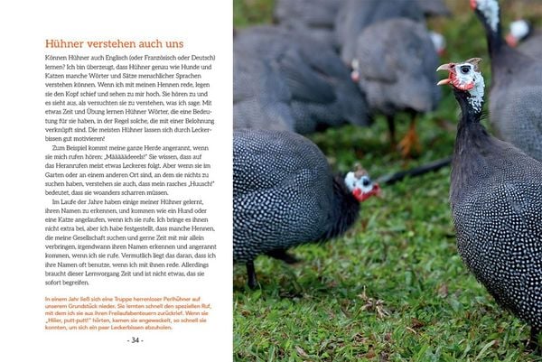 Produktbild: How to Read a Chicken's Mind