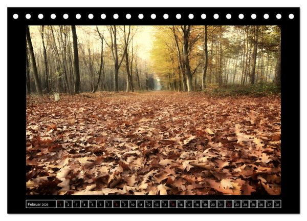 Produktbild: Der Reichswald bei Kleve (Tischkalender 2026 DIN A5 quer), CALVENDO Monatskalender